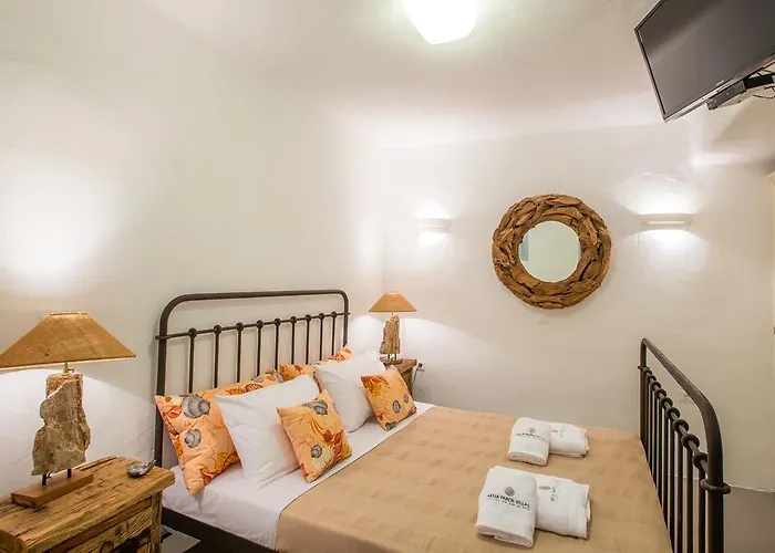 וילה Aelia Paros Beachfront חריסי אקטי