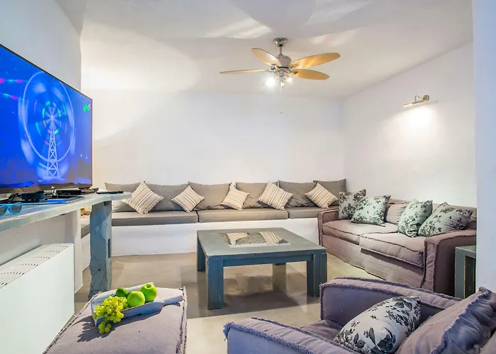 Vila Aelia Paros Beachfront Chrisi Akti (Paros)